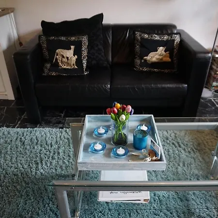 Rijsbergen_zundert 3* Zundert