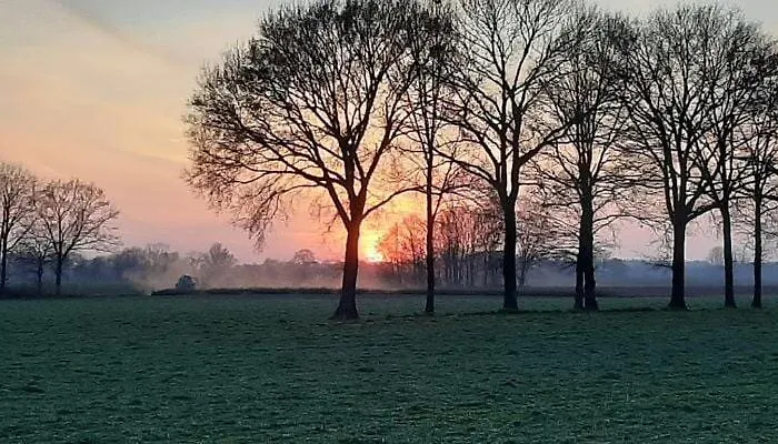 Gasthof Rijsbergen_zundert